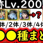 [トレクル]海賊王への軌跡VSコロンLv.200! 最新特効1体/2体/3体/4体所持の方へ代用可能そうなお宝爆盛編成 [PKA][OPTC]