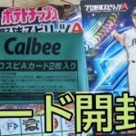 プロ野球チップスプロ野球スピリッツAカード開封！