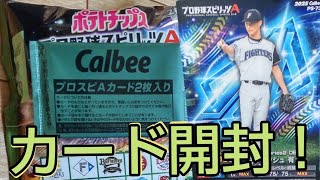 プロ野球チップスプロ野球スピリッツAカード開封！
