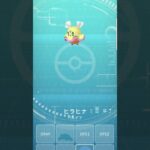 ポケモンgoたまご孵化#ポケモンgo #たまご#Pokémongo#shorts