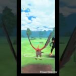 シャドウゲッコウガvsマリルリ #ポケモンgo #pokemongo #ポケモン #ポケモンgo好きと繋がりたい