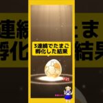 3連続のたまご孵化結果！今回の成果は？#ポケモンgo