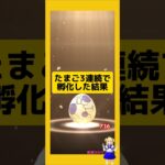 3連続のたまご孵化結果！今回の成果は？#ポケモンgo