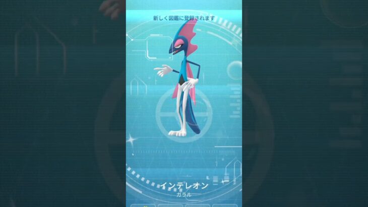 【ポケモンGO】色違いメッソン➡︎インテレオン【コミュデイ2026年7月】