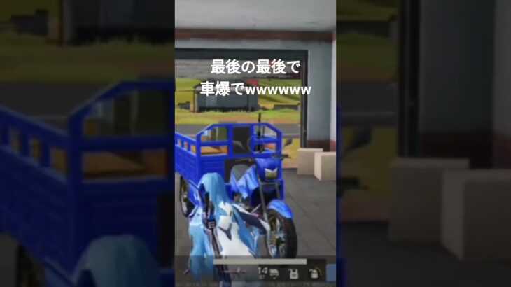 【荒野行動】勝手に荒野からこれを投稿しろと言われ作られたハイライト#荒野の光  #荒野夏祭り