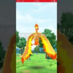 ゲットの瞬間　パート3138 ポケモンgo #ポケモンgo #pokemongo