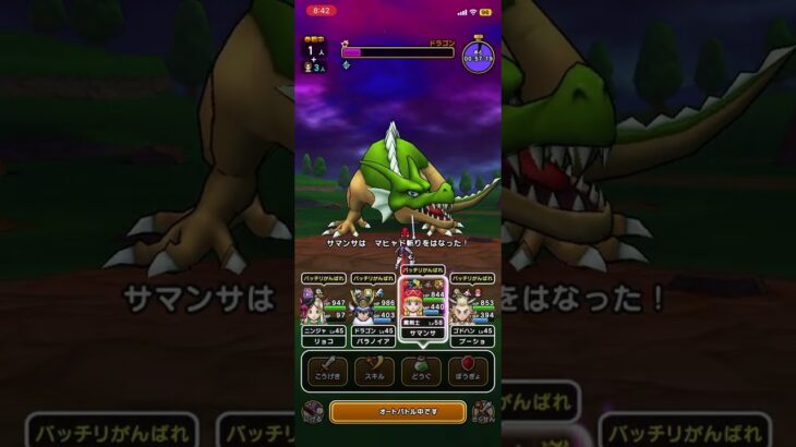VSドラゴン