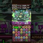 クリアするにはあまりにも遅すぎた大樹攻略【パズドラ】#パズドラ