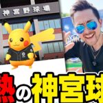 神宮球場！灼熱のピカチュウ周回！色違いは？100は？携帯落とした！？【ポケモンGO】
