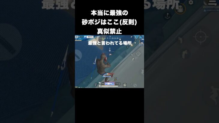 自称最強ポジを上から見下ろせるガチの最強ポジがヤバい※使用禁止　#荒野行動