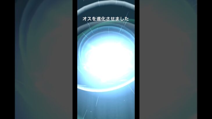 ポケモンGOでオスメッソンを進化させる#ポケモン#ポケモンGO#メッソン#色違い