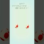【ポケモンGO】今日のたまご 12km×2個