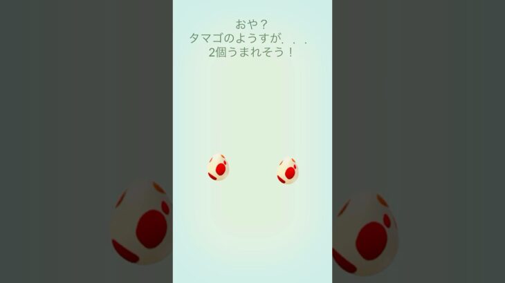 【ポケモンGO】今日のたまご 12km×2個