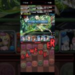 なんか起きない訳ない【パズドラ】