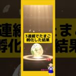 3連続のたまご孵化結果！歩いた成果は？#ポケモンgo