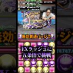 【今回は違う】前回とは戦い方もステージも違う #たかし #パズドラ