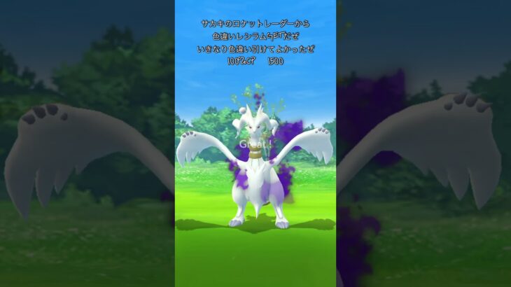 【ポケモンGO】色違いシャドウレシラムゲッチャレ #ポケモン #reshiram #ショート #伝説 #pokemongo #레시라무 #pokémon #shorts #レシラム