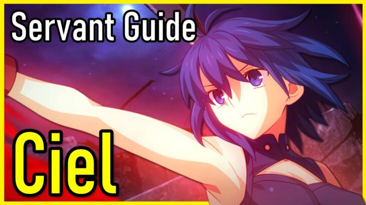 Ciel: 60% NP Refund + ZERO Card RNG! | FGO Guide