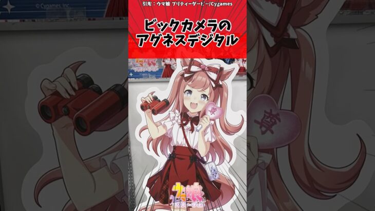 ビックカメラのアグネスデジタルに対するトレーナーの反応【ウマ娘　まとめ】