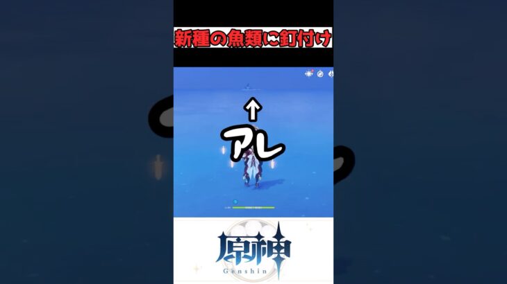 新種の生物に興味津々のカシミア #原神 #genshinimpact #shorts #雑談