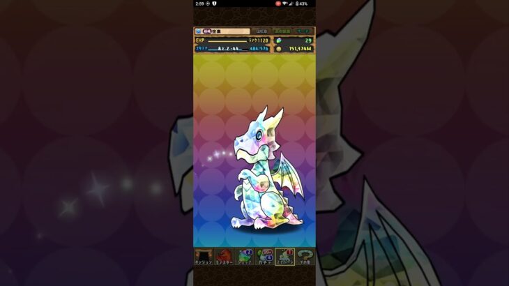 【パズドラ】 2026年 7月 1日ダンジョン 引いていく！ #パズルアンドドラゴンズ #パズドラ