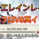 【検証】エレインレイド、コルフロ編成が良いのか、冥イリア編成が良いのか【メメモリ】