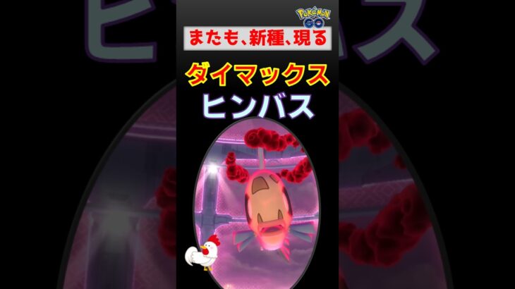 新種登場！【ダイマックス ヒンバス】 #ポケモンgo #ポケモン #pokemongo #ダイマックス #ヒンバス #ミロカロス