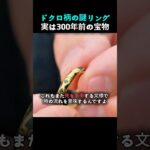 【驚愕】祖母の遺品がまさかの300年前のお宝！？専門家が明かした衝撃の鑑定額とは！