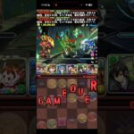 これはドンすぎる【パズドラ】