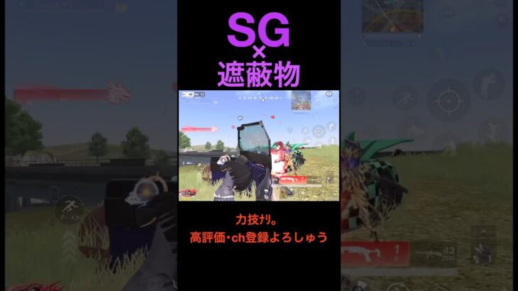 SG×遮蔽物【荒野行動】# #荒野行動 #クリップ #キル集