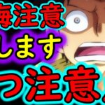 [トレクル]史上初の展開!? 忘れると後悔するので必ずやってください。[OPTC][PKA]