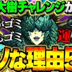 大樹チャレンジが炎上した理由5選！鬼畜難易度？運ゲー？賛否両論ががヤバすぎる【パズドラ】