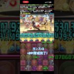 【パズドラ】ランス×2　+891育成完了〜