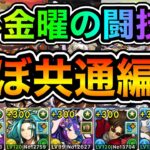 【パズドラ】ほぼ共通編成！スクロールなどを集めよう！月~金曜の闘技場！月~金曜日の決戦！ほぼずらし！安定周回！