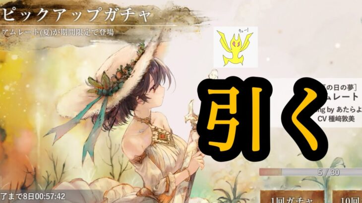 【メメントモリ】夏アム引くぞ！【メメモリ】