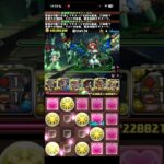 大樹チャレンジ固定チーム、ヒヤッとする瞬間【パズドラ】