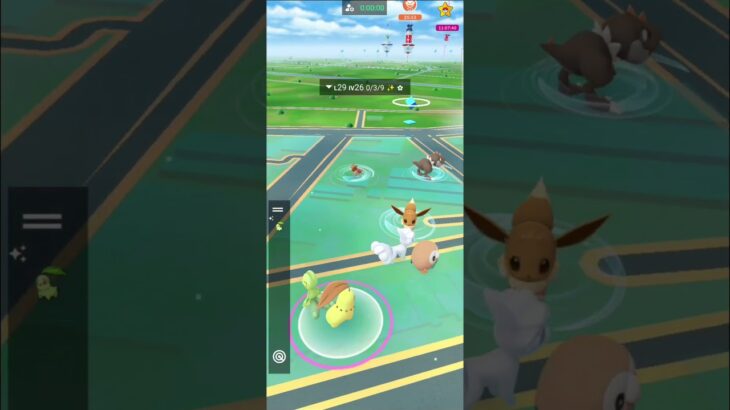 Grass Shiny✨ Pokemon Pgsharp Pokemon Go