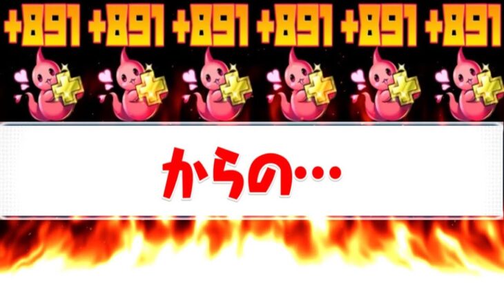 【アドバイス】限界突破コロシアムついに改善⁈からのー！【パズドラ】