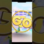 GOフェスグローバル1日目‼️#ポケモン #ポケモンGO