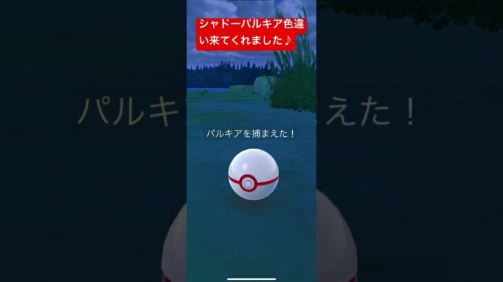 シャドーパルキア色違い#ポケモンgo #ポケモンgo色違い #ポケモン #pokemongo #pokémongoshiny #pokemon