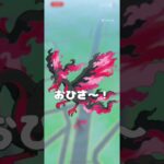 ガラルファイヤーゲッチャレ！ #ポケモン #おれポケ #ポケモンgo #pokemongo #pokémon #pokemon #ガラル三鳥
