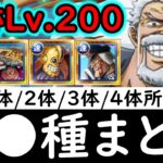 [トレクル]海賊王への軌跡VSガープ! Lv.200想定! 全●●種編成まとめ! 最新特効1体/2体/3体/4体所持の方へ代用可能そうな周回編成! [PKA][OPTC]