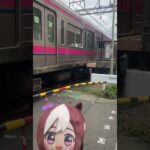 スペと京王線 #うま娘 #shorts #鉄道#ウマ娘プリティーダービー #京王8000系