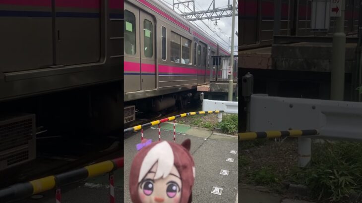 スペと京王線 #うま娘 #shorts #鉄道#ウマ娘プリティーダービー #京王8000系