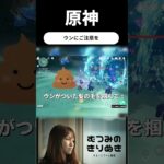 【日常】ウンにご注意を…… #原神 #配信者