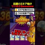 【ドラクエウォーク】話題のミネア砲がヤバい事になってるｗｗｗこれが全国クラスの一撃か・・・