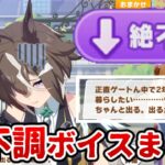 ルーラーシップの絶不調ボイスまとめ【ウマ娘プリティーダービー】