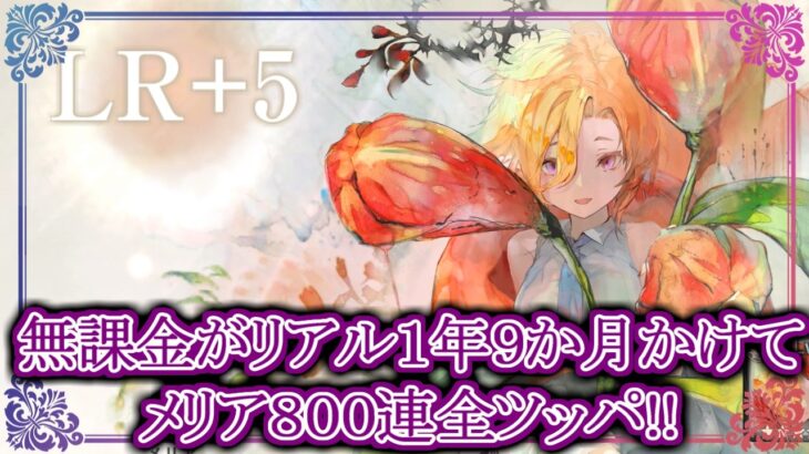 【メメントモリ】無課金がメリア完凸目指して８００連全ツッパ!!【メメモリ】