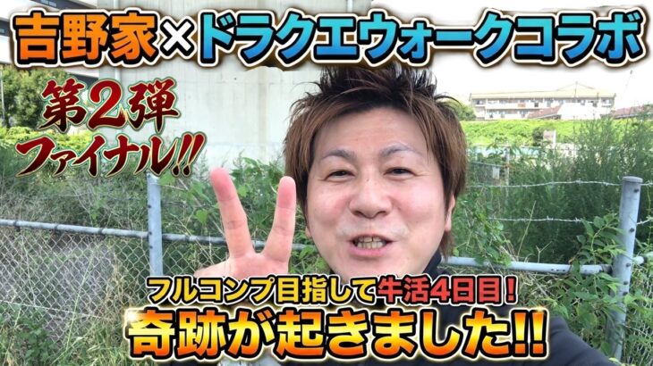 【第2弾ファイナル】 吉野家 × ドラクエウォーク コラボ フルコンプを目指して牛活4日目で奇跡が！！ DRAGON QUEST