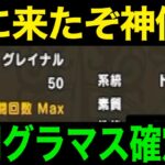 モングラ勢震えろ…私が来た！！！！【ドラクエウォーク】【ドラゴンクエストウォーク】